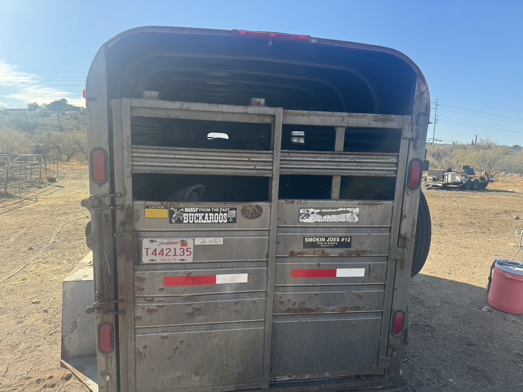 1988 Bison