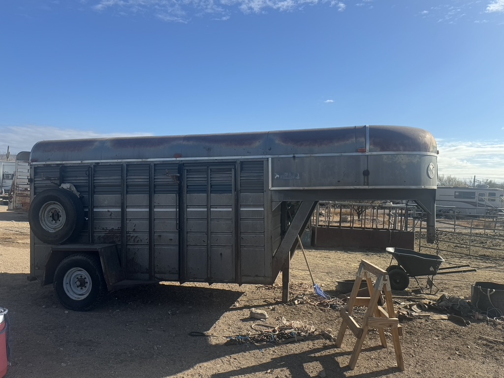 1988 Bison