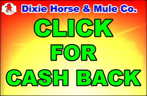 Dixie Horse and Mule Co