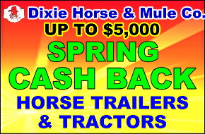 Dixie Horse and Mule Co