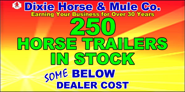 Dixie Horse and Mule Co