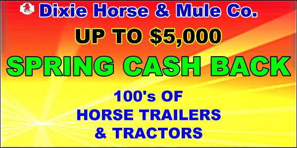 Dixie Horse and Mule Co