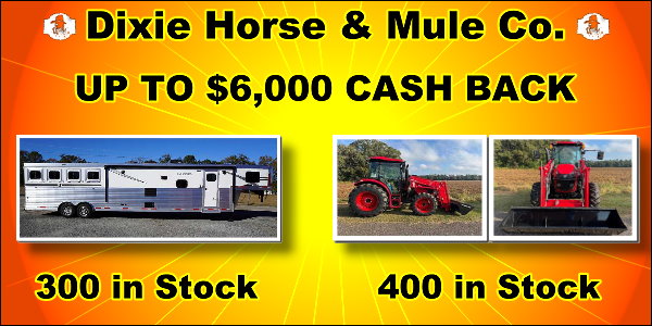 Dixie Horse and Mule Co.