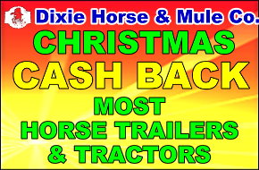 Dixie Horse and Mule Co