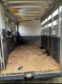 sundowner gooseneck slant load horse trailer