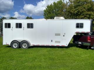 Used Horse Trailer