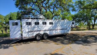 Used Horse Trailer