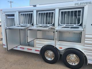 Used Horse Trailer