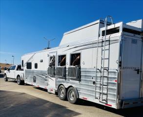 Used Horse Trailer